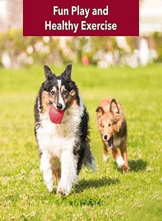 PET FUN Natural Rubber Spiked Dog Ball 2.8" | Bouncy Chew Toy for Puppies & Small-Medium Dogs TPR Diamond Ball Chew Toy with Squeaker & LED | Durable for Aggressive Chewers Combo of 2 - Image 4